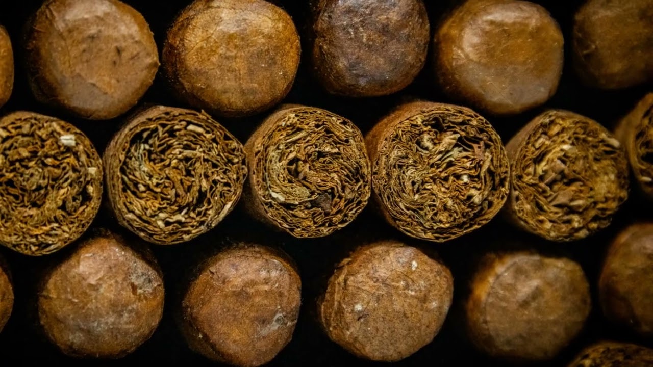 Cigar Wrapper Showdown: Natural vs Maduro vs Oscuro vs Candela vs Claro