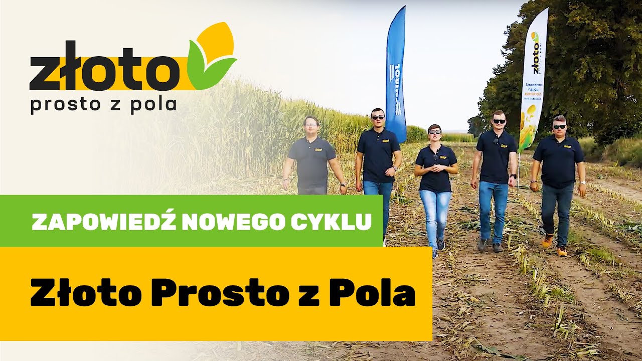 Zapowiedź cyklu &bdquo;Złoto prosto z pola&rdquo;