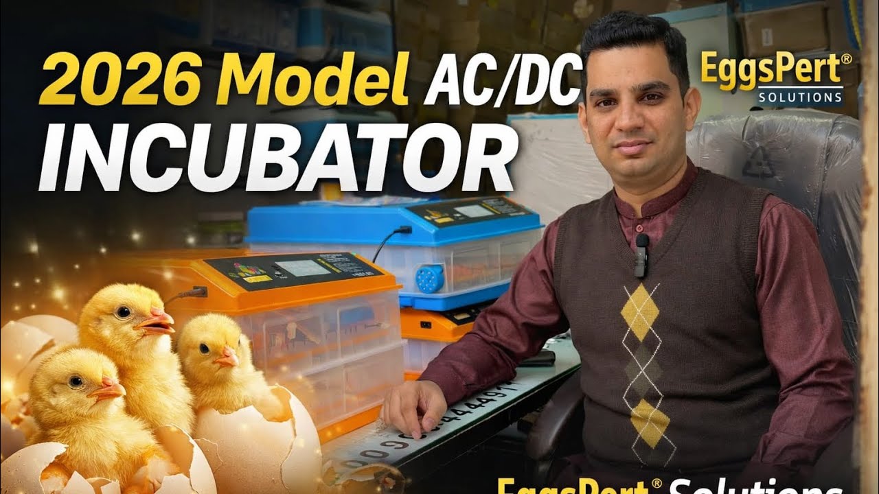 New 2026 Model Launch | OUCHEN Egg Incubator First Time in Pakistan |EggsPert Solutions® 03004444911