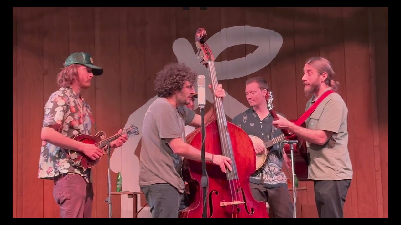 Sam Grisman Project - 