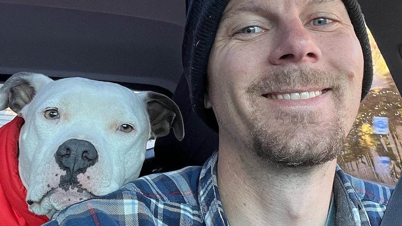 Shy rescue dog is a total daddy's girl