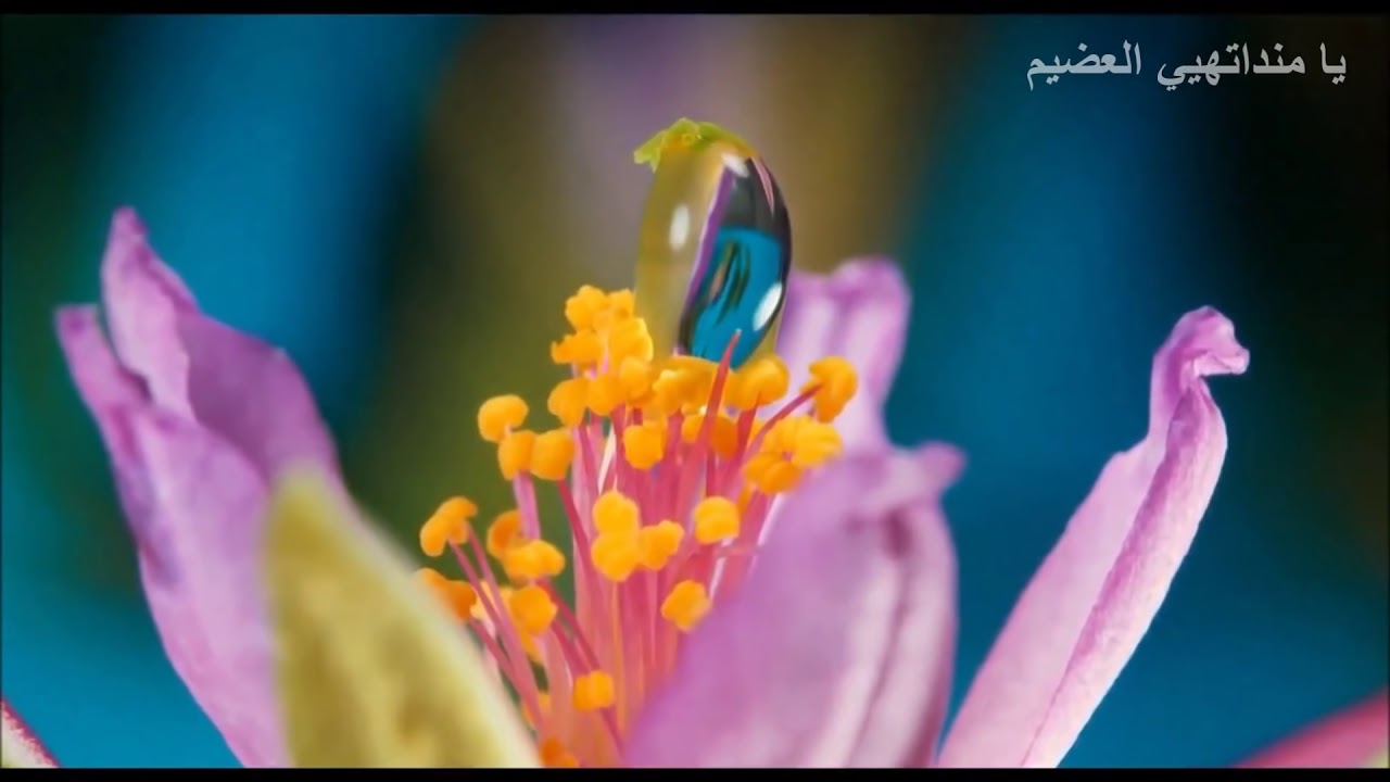 دعاء الصابئة المندائيين