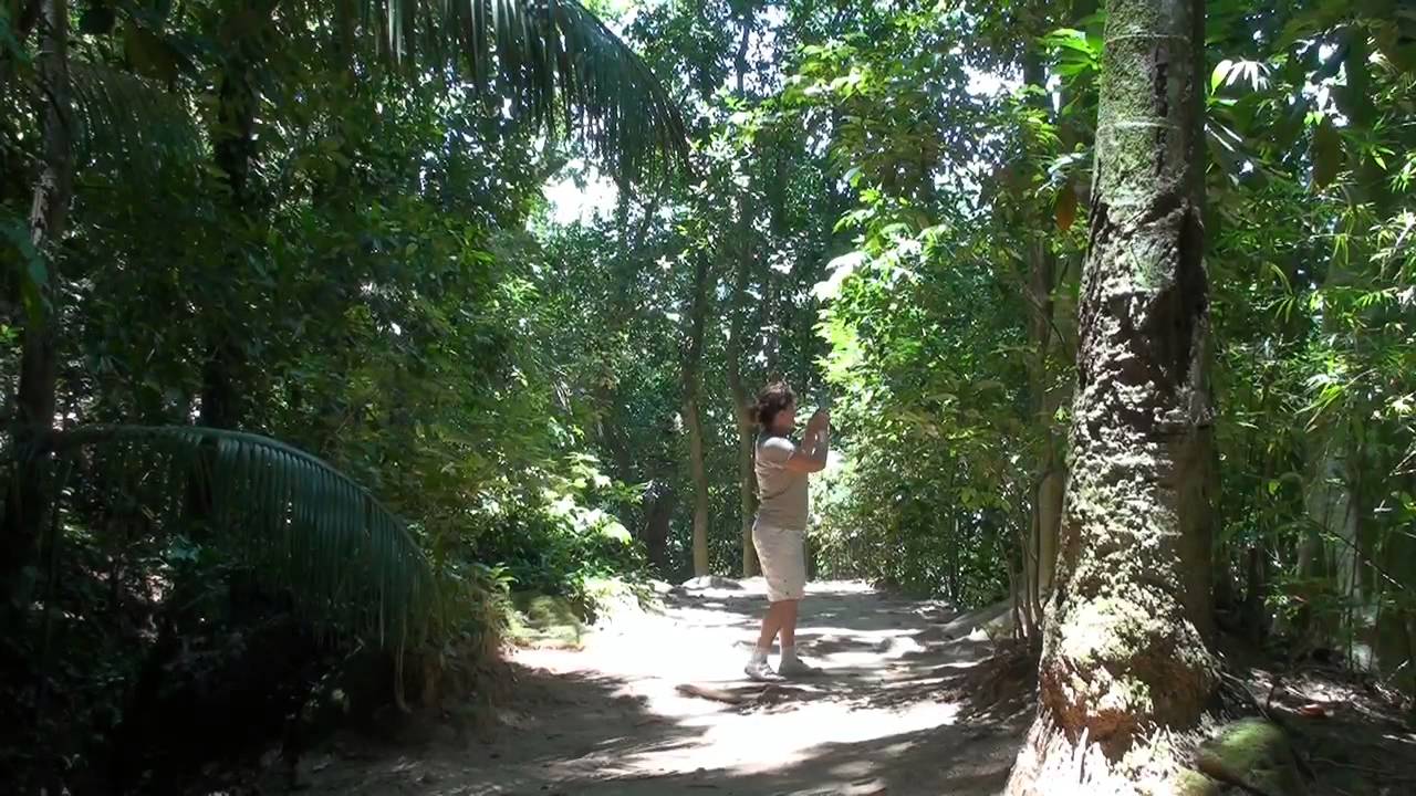 Rio de Janeiro, Botanischer Garten, Botanical Garden   HD