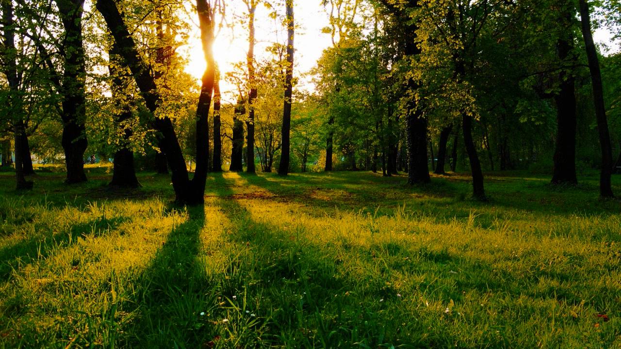 Digital Nature - Landmarks (Activa Remix)