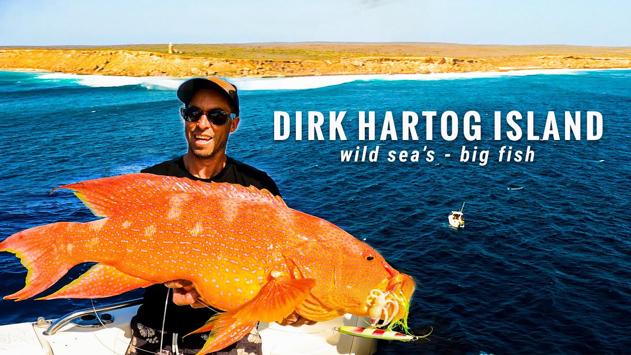 we fish a 4 Metre swell & get the bite // Ultimate seafood cookup