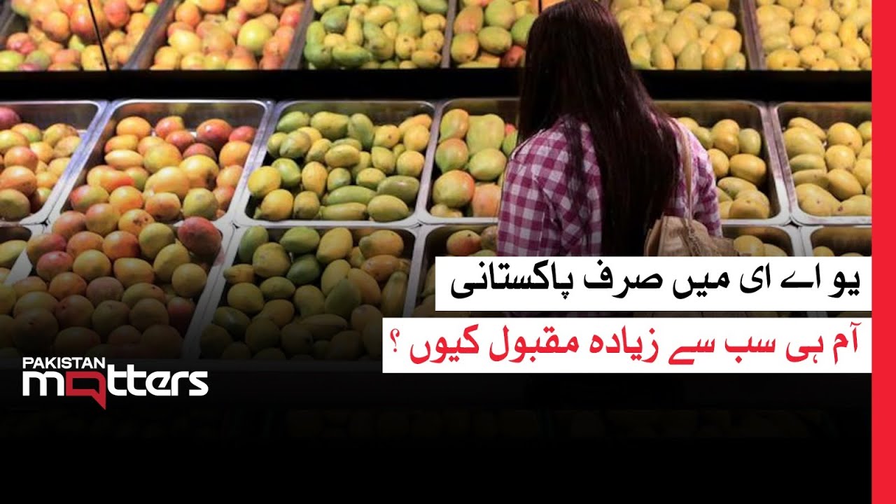 Why the UAE Can’t Resist Pakistani Mangoes? | Pakistan Matters