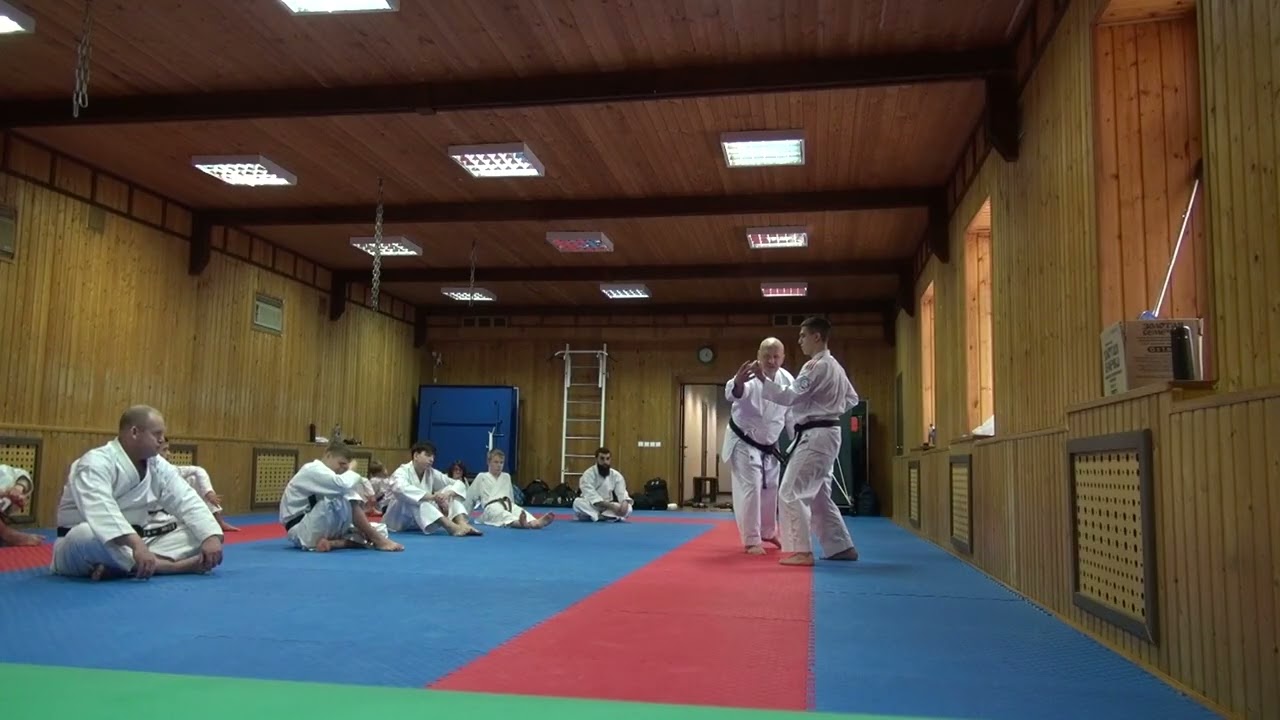 Ката Гекисай дай 1.