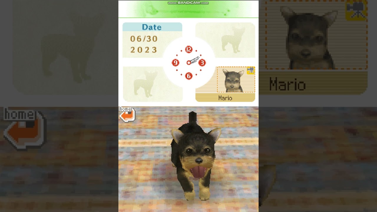 Nintendogs: Dalmatian and Friends Part 1