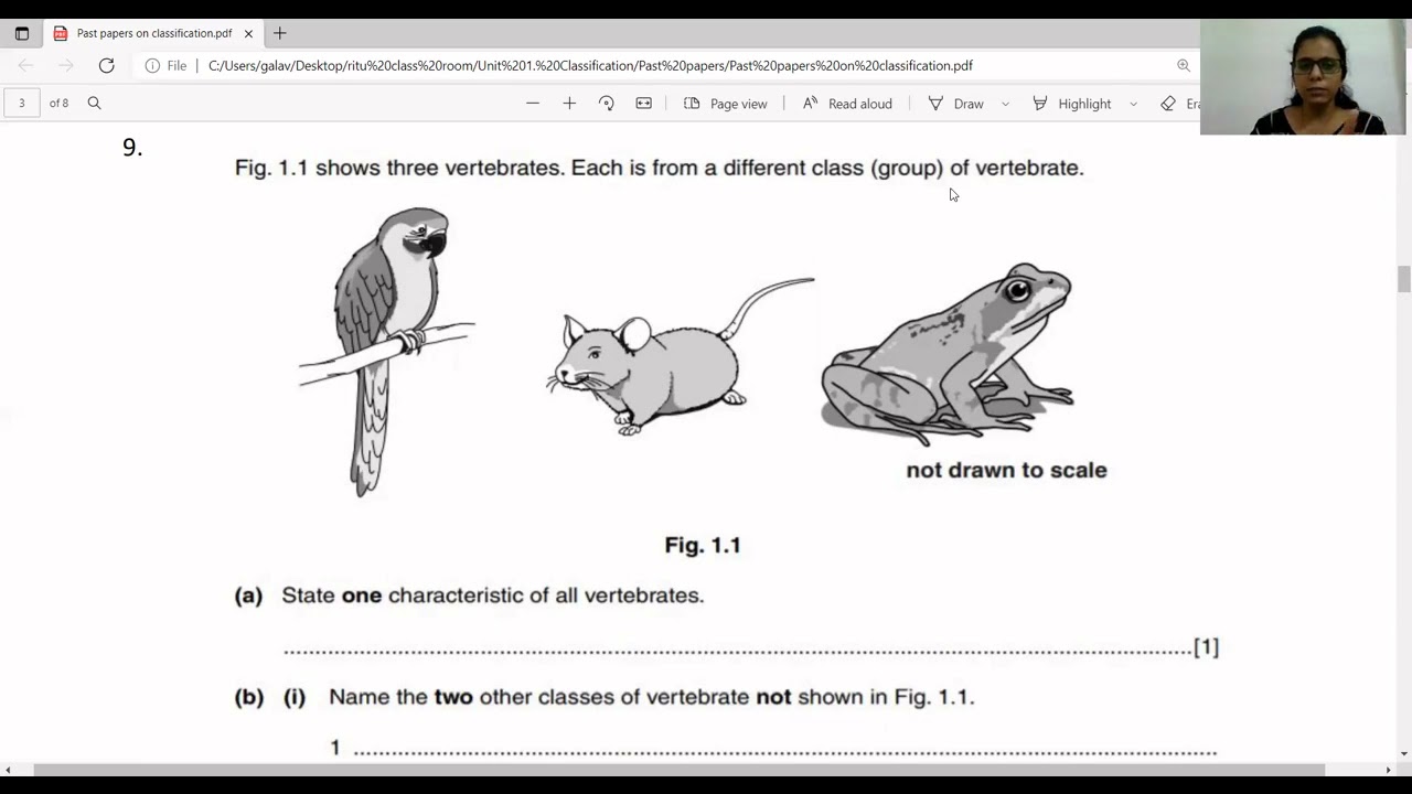 Unit 1- Classification- Past paper questions- IGCSE (0610)