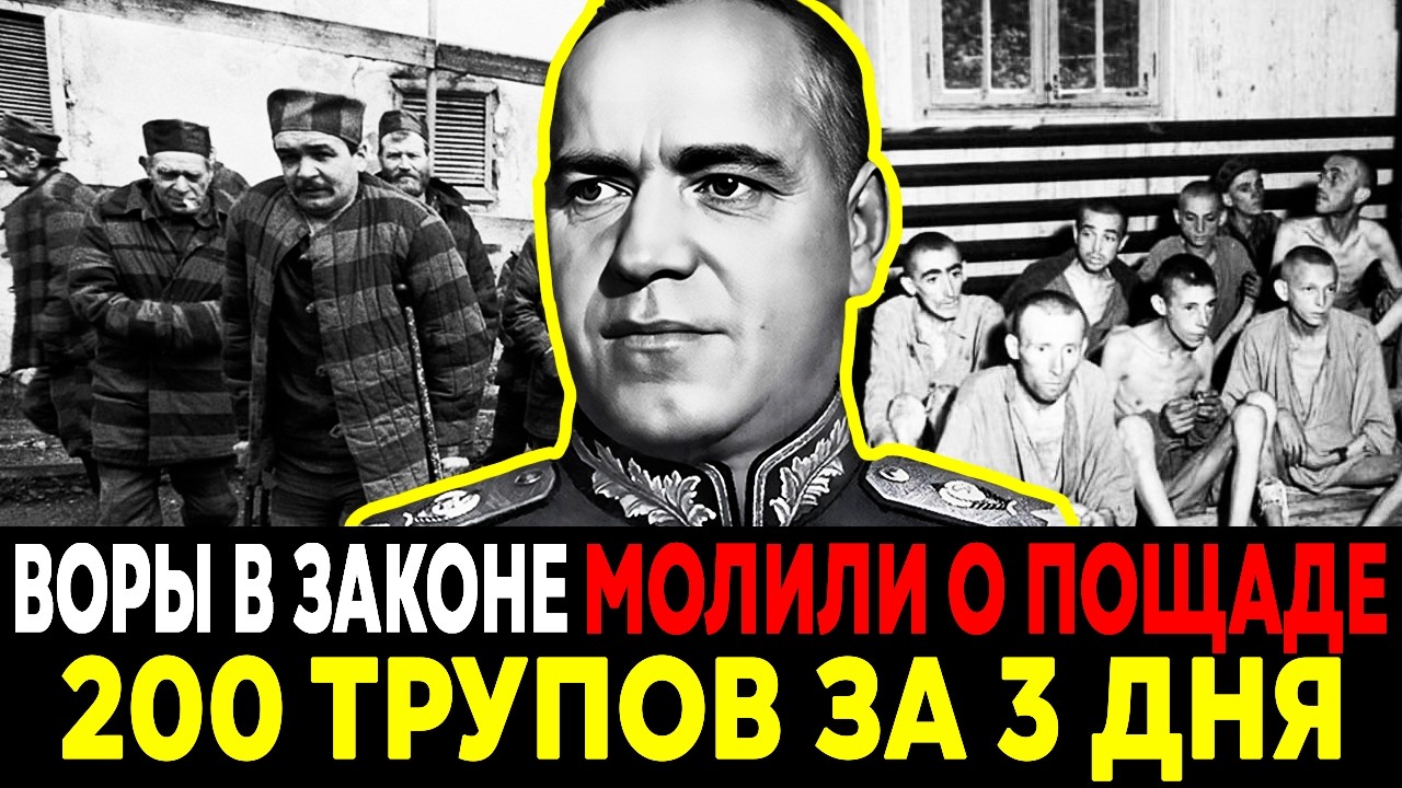 ТРИ ДНЯ УЖАСА: как ЖУКОВ Устроил Зачистку ВОРОВ В ЗАКОНЕ!Операция, о которой молчали десятилетиями!