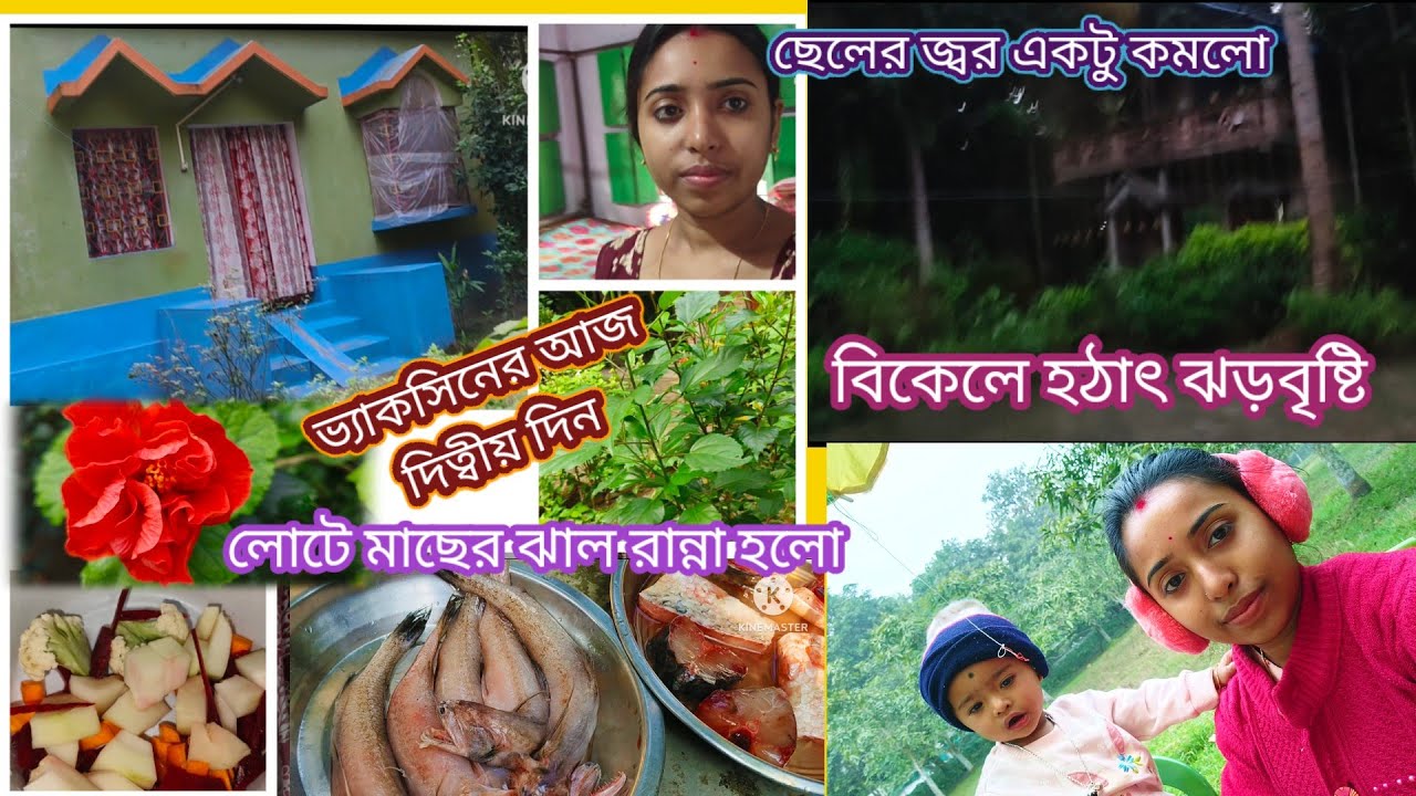 ভ্যাকসিনের আজ দিত্বীয় দিন/জ্বর একটু কমলো/আমার প্রিয় লোটে মাছের ঝাল হলো🐟viral#views#vlogvideo# 