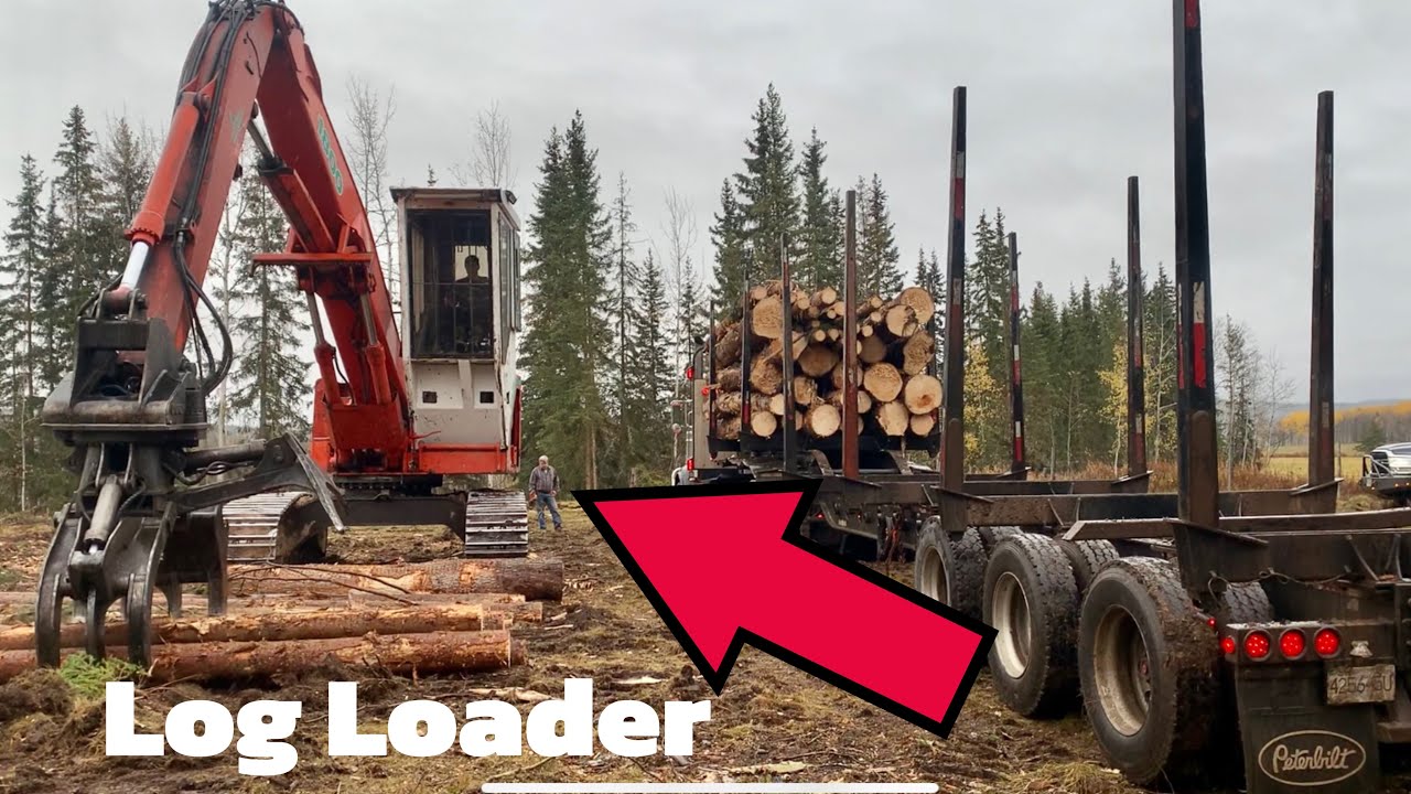 Loading Logs onto the Truck! 