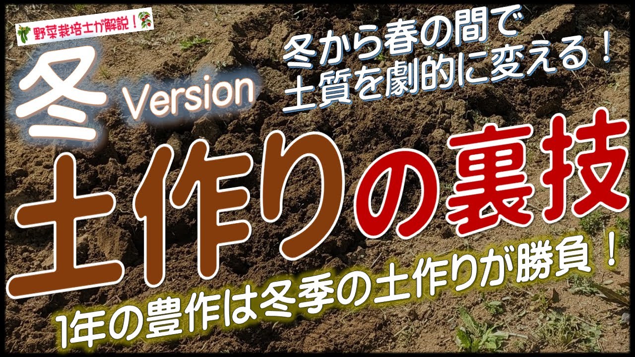 土作りの裏技（冬の土作りで春夏野菜の収穫量が劇的にアップする！カチカチ用土をフカフカに変える堆肥の作り方も公開！
