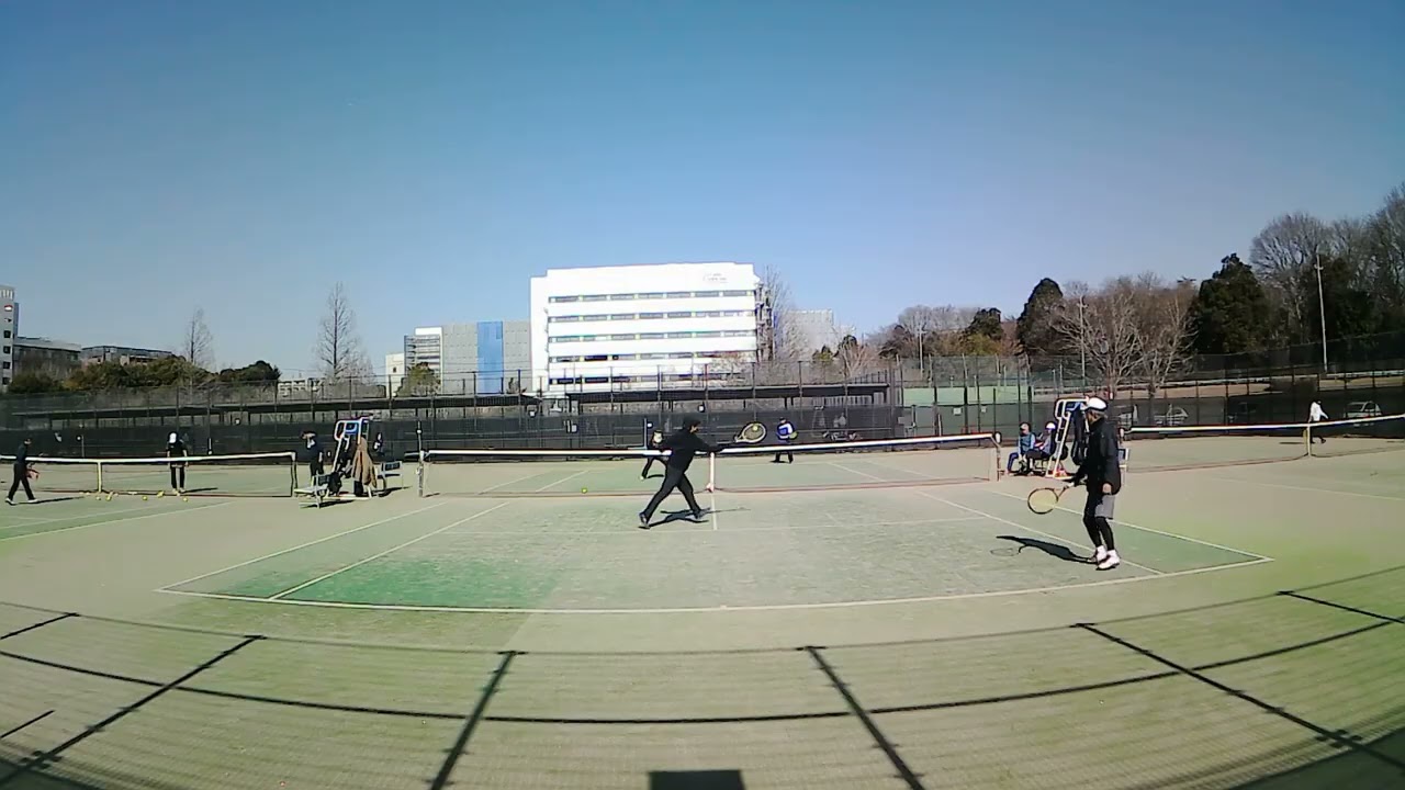 20260214 柏の葉⑥3/4