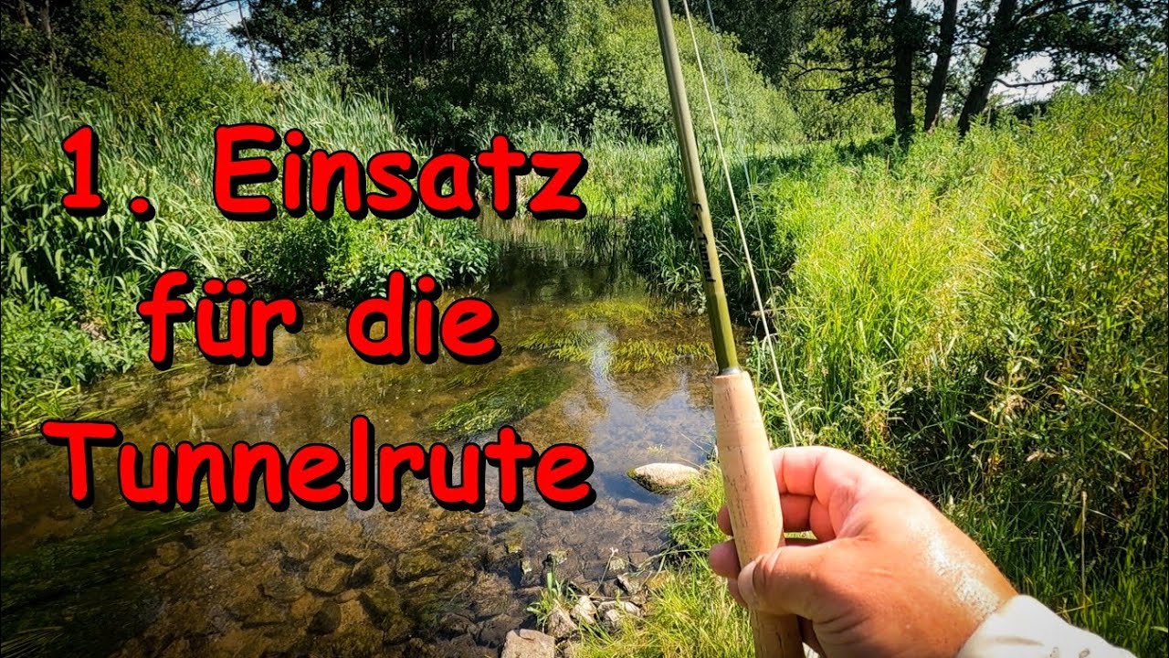 Fliegenfischen in MV - Eine Rute für den grünen Tunnel