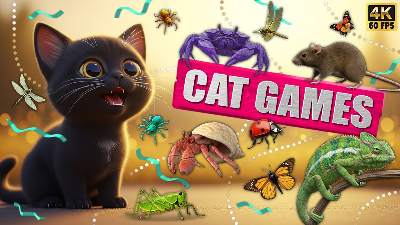 CAT GAMES 🐾3D Game for Cats | Video for Cats  &ndash; Ultimate CAT TV #91😻 4K60FPS