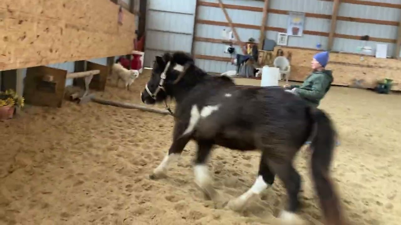 Can You Do the Sit and Circle with Your Horse??