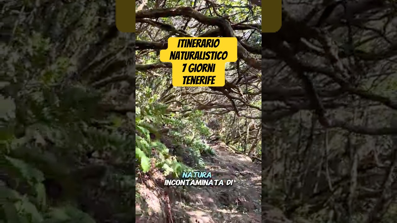 Itinerario NATURALISTICO di 7 giorni a TENERIFE🌋