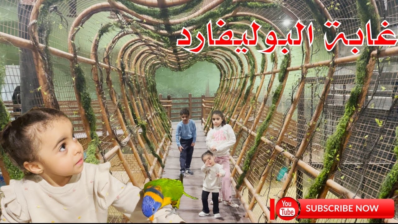 #غابة #البوليفارد