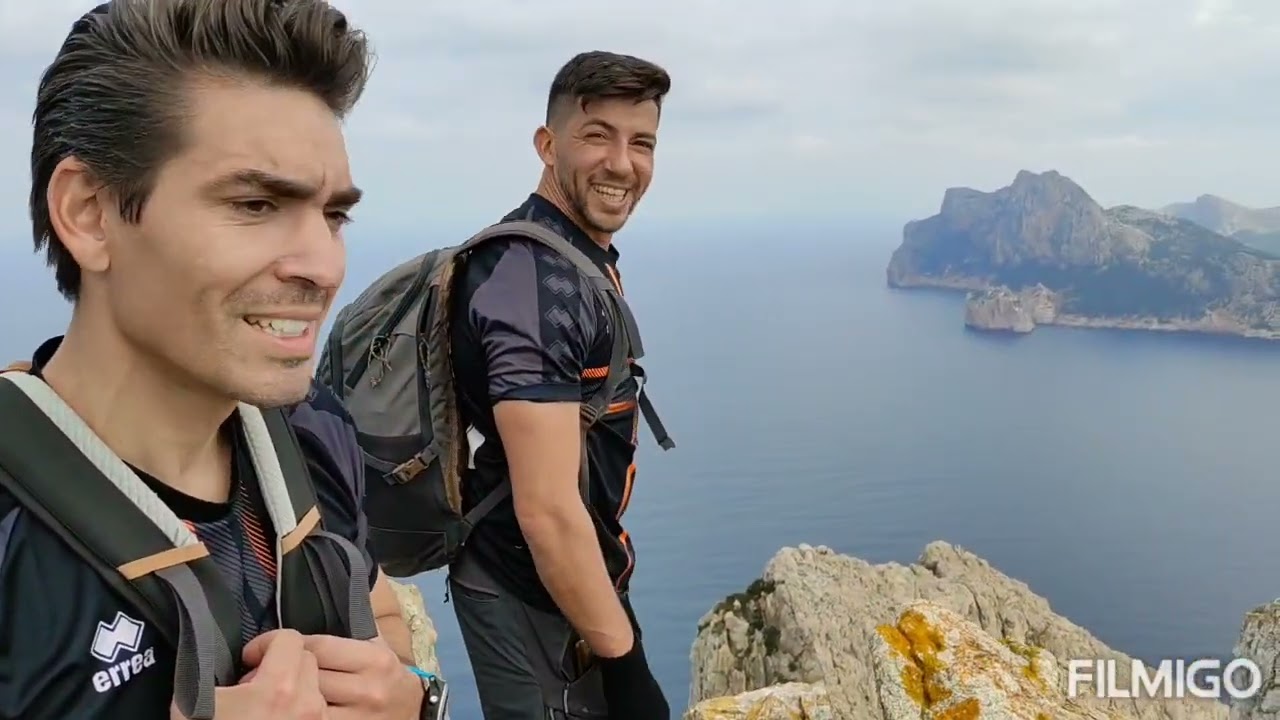 cavall Bernat de pe a pa