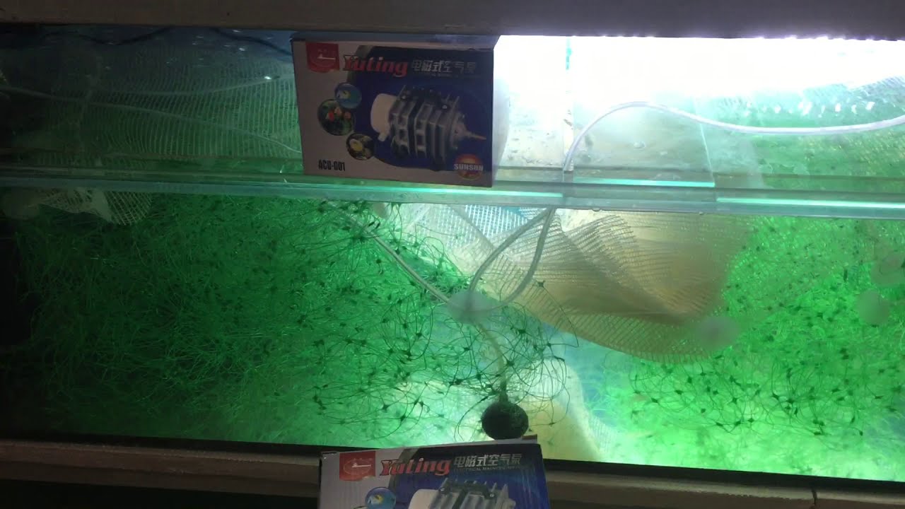 Подбор компрессора для аквариумной стойки SunSun ACO-001 и 002