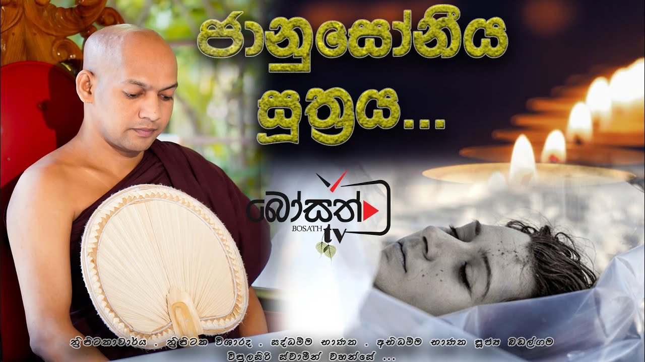 සූත්‍ර දේශනා 2024 - ජානුස්සෝනි සූත්‍රය