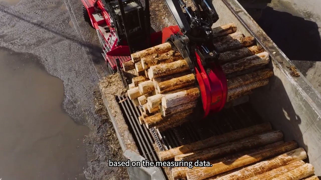 A journey through the sawmill from the family forestry