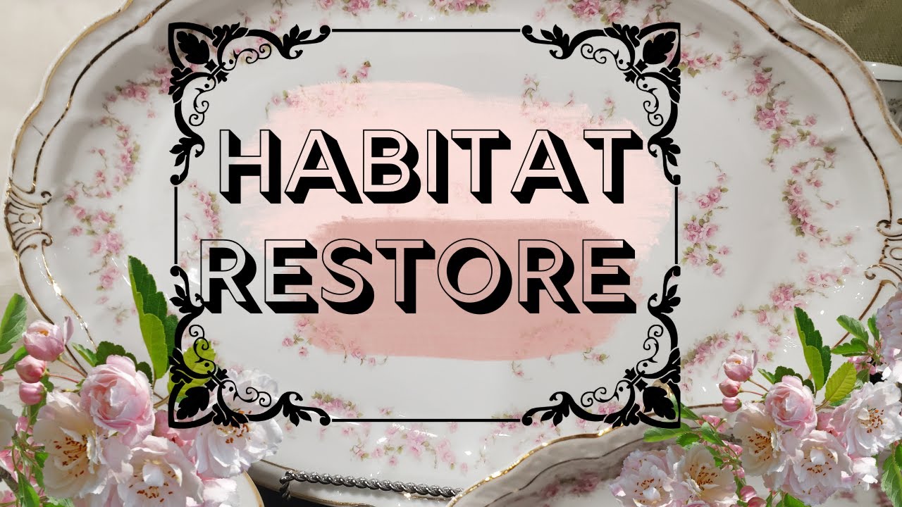 Habitat Restore Walkthrough #Habitat #HabitatReStore #ReStore #Thrifting
