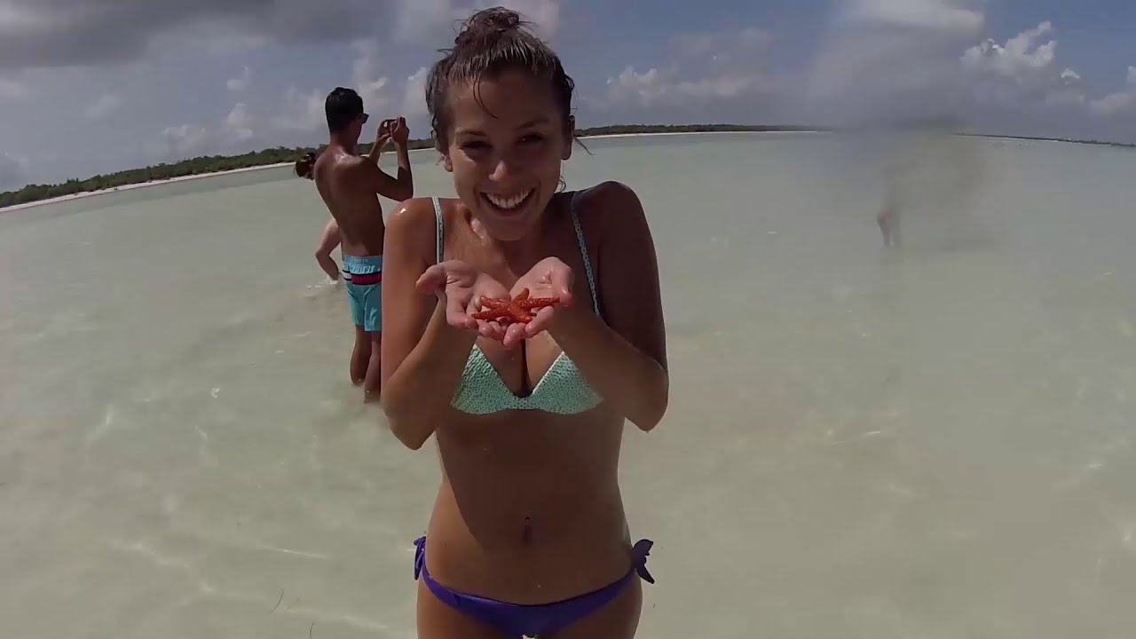 Nadando con el tiburón ballena en México