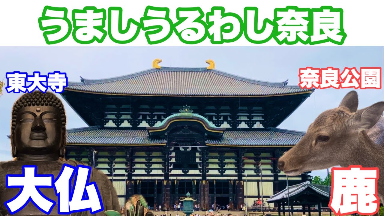 【奈良県】古都で歴史に触れスケールの大きさに圧倒され鹿に癒され天理スタミナラーメンで元気になる【そら豆散歩番外編】