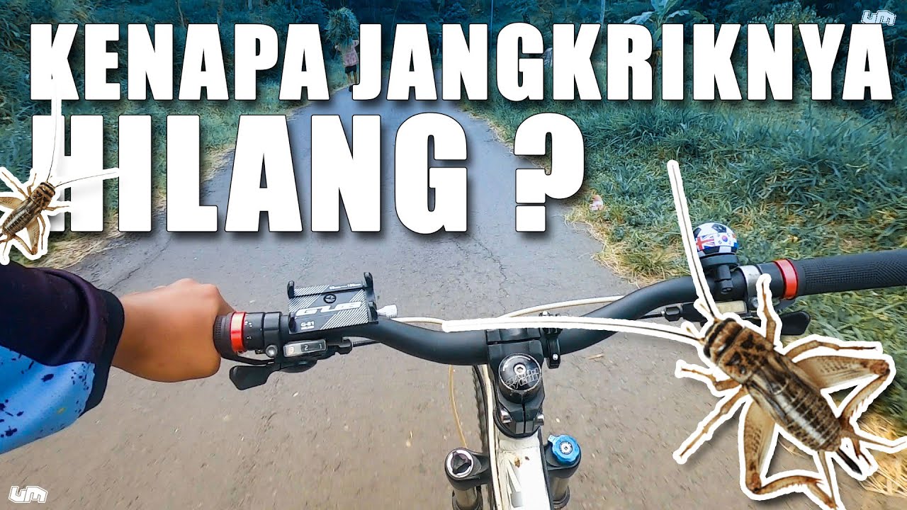 AFTER MODIF FREEHUB - JANGKRIK SEPEDA HILANG | Bukit Klangon YK