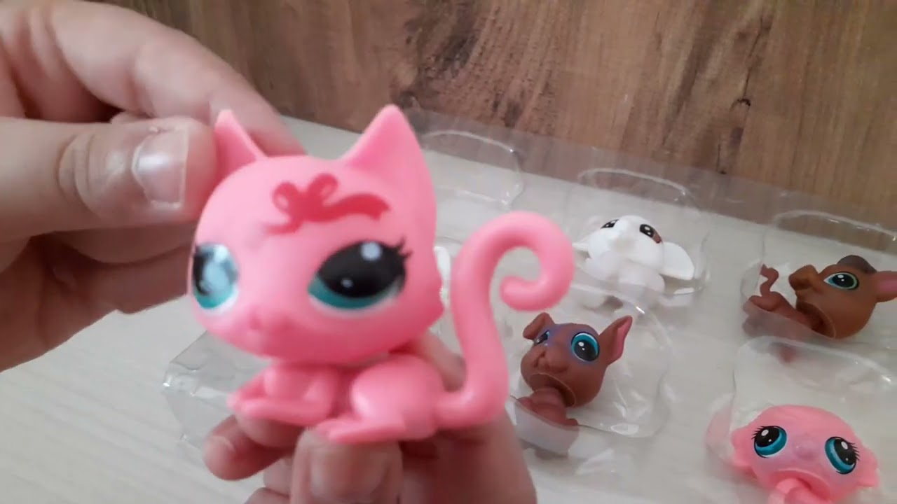 Miniş Açılımı💗💗|LPS COOKIES TV 🍪|