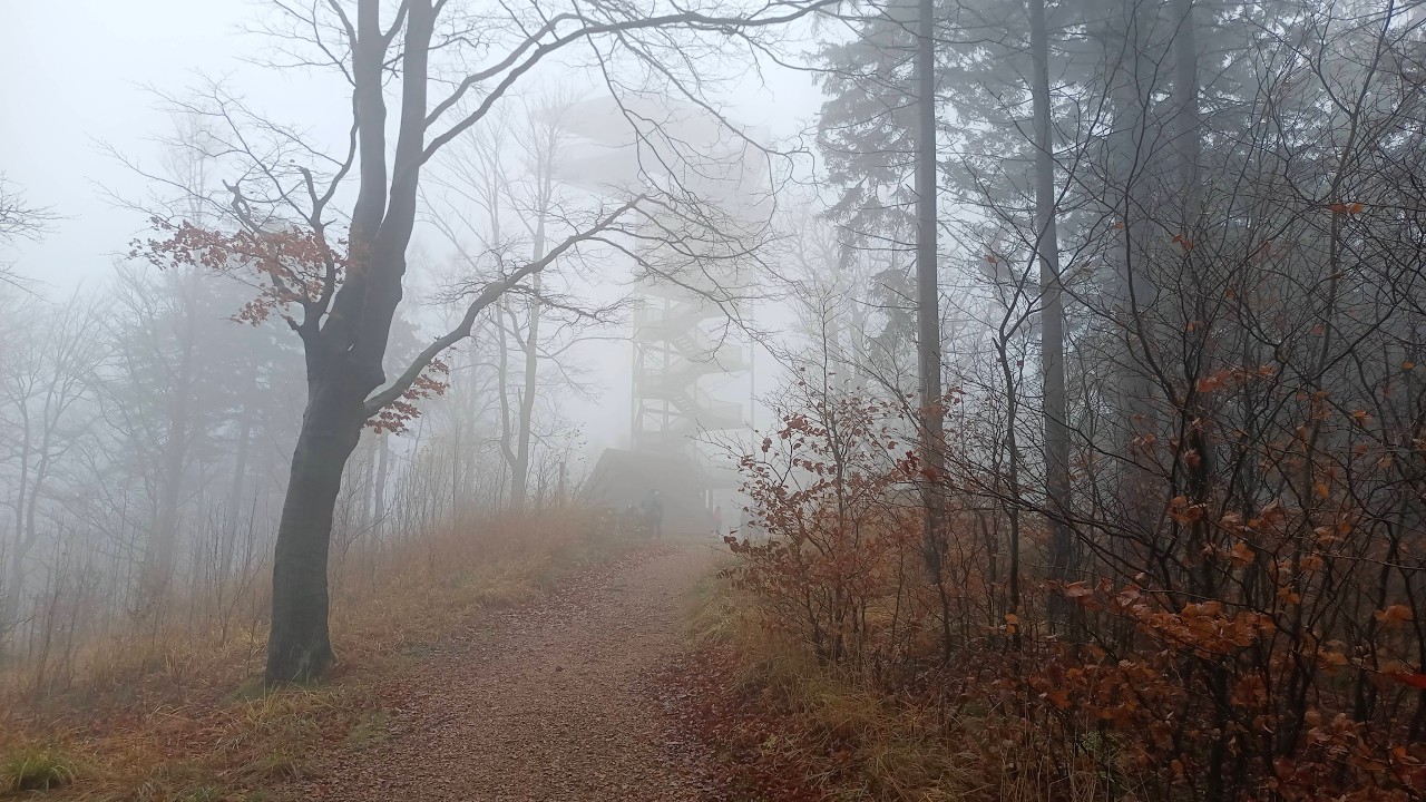 Trójgarb 11 11 2025