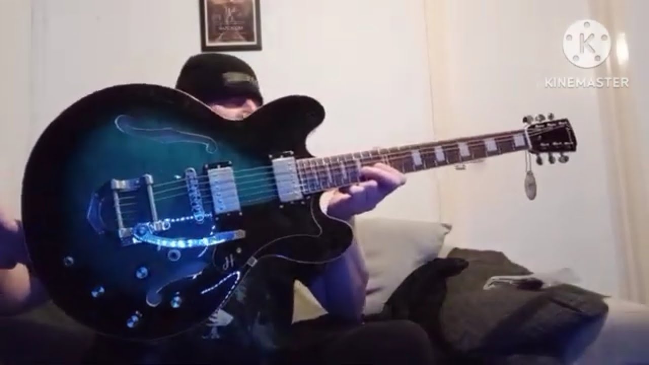 New Guitar day. Hartwood revival Legend TR. semi  hollow  vibrato guitar.