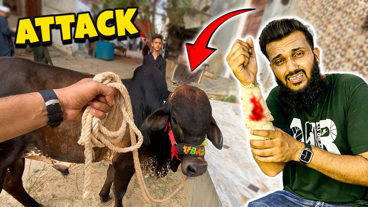 Pata nahi tha ye Attack kardega Achanak se 😭 Fahad Bhai Official