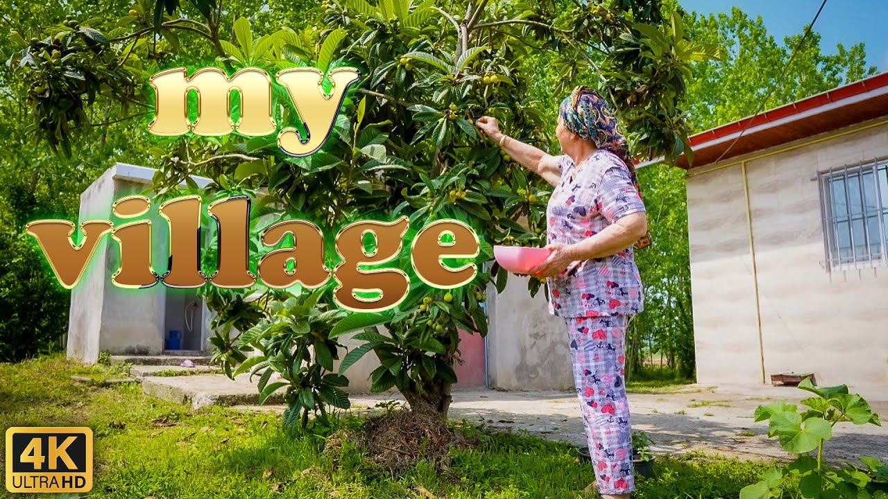 Preparing a Simple Dressing for Fruits in my Village (آلوچه فشکن) | دِلال، دِرار یا دِلار