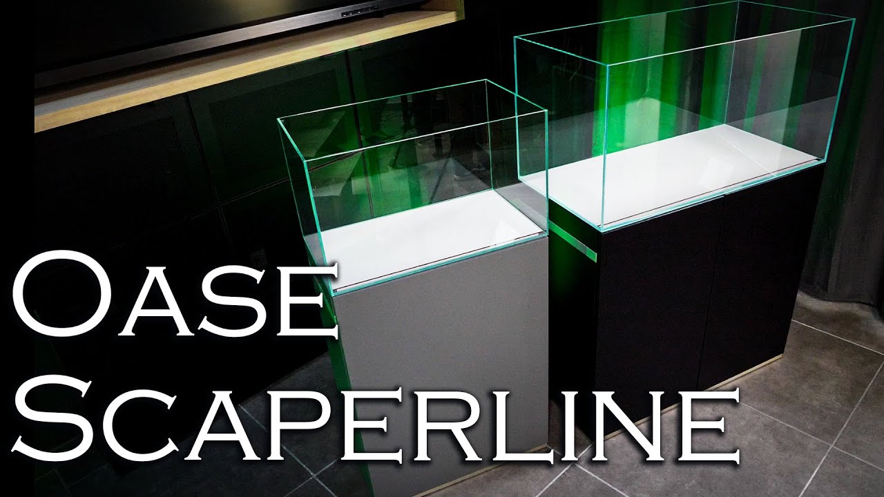 Oase Scaperline - High-End Aquarium aus Deutschland| Aquado-Zoo Dortmund