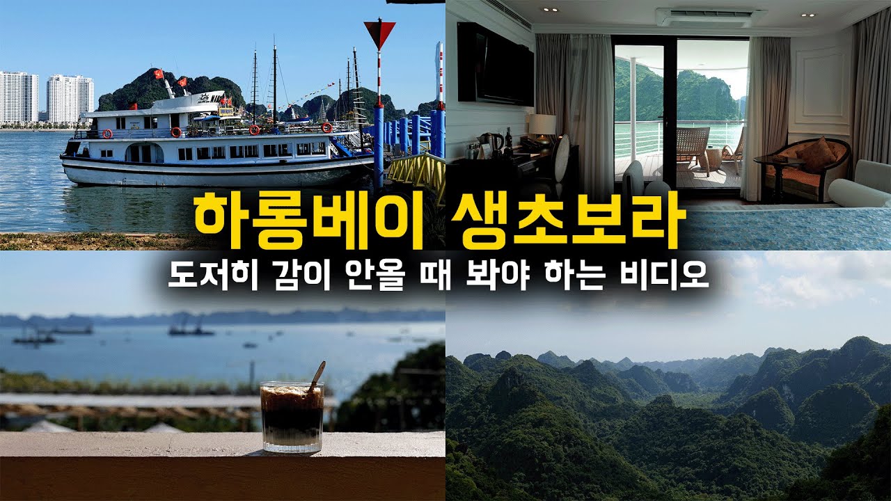 🇻🇳 하롱베이의 6가지 장단점 그리고 4가지 여행법