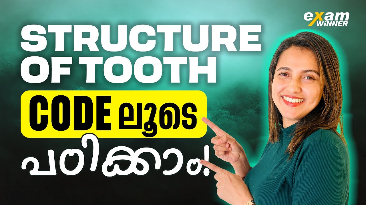 Structure Of Tooth  Codeലൂടെ Simpleആയി പഠിക്കാം !! | Exam Winner