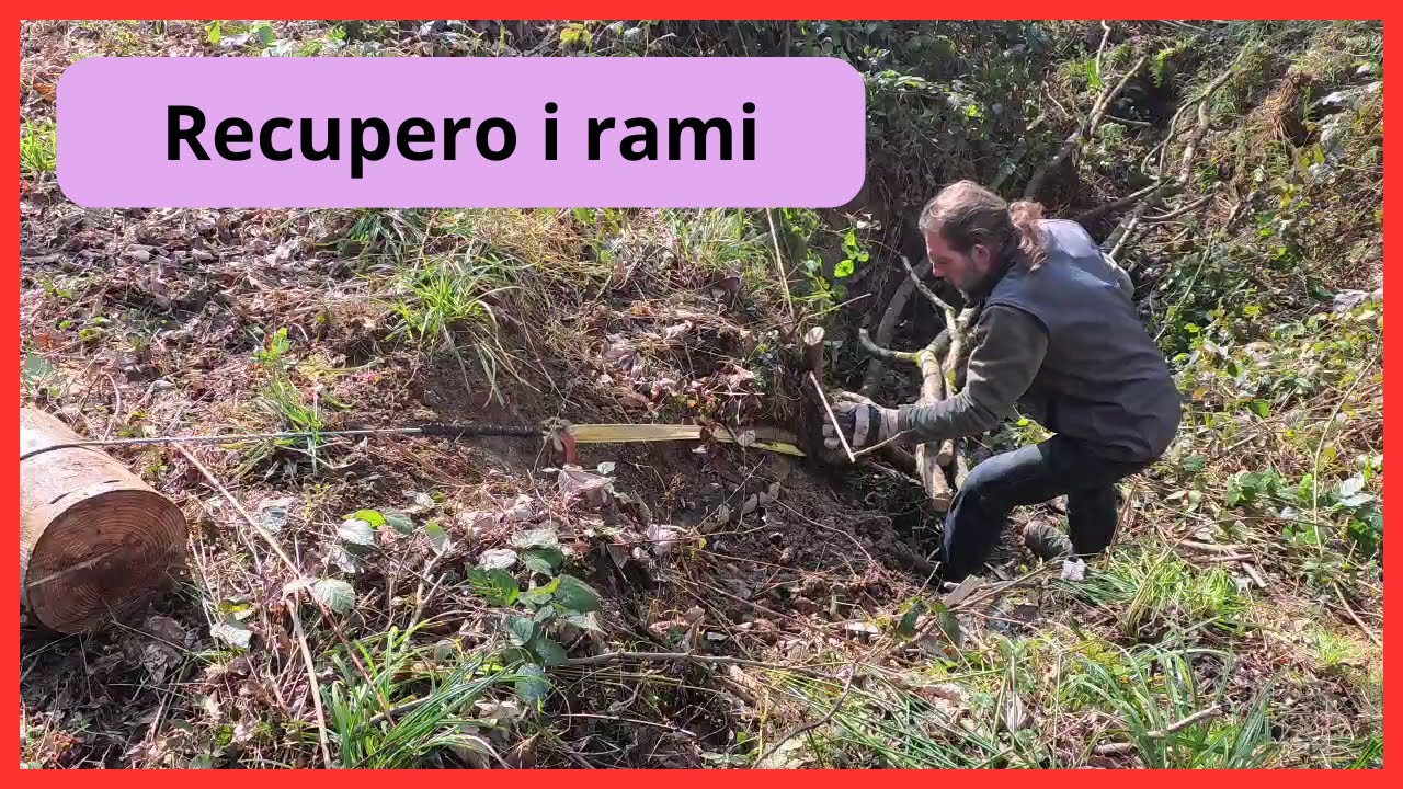 torno a raccogliere i rami che avevo lasciato nel fosso...