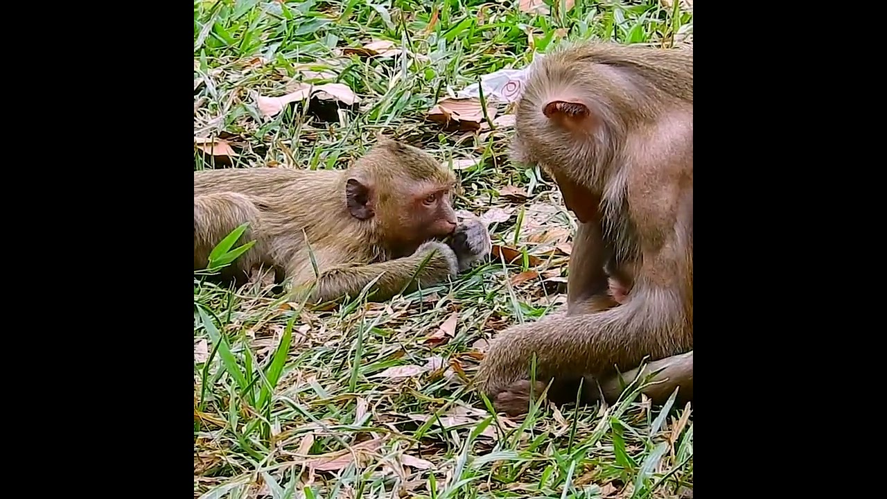 Please hug me up Mummy, don't be careless to me!