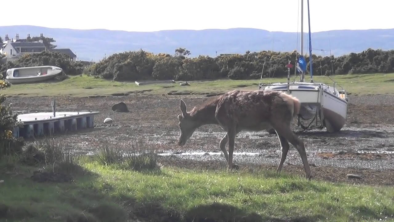 AYF - VisitArran 