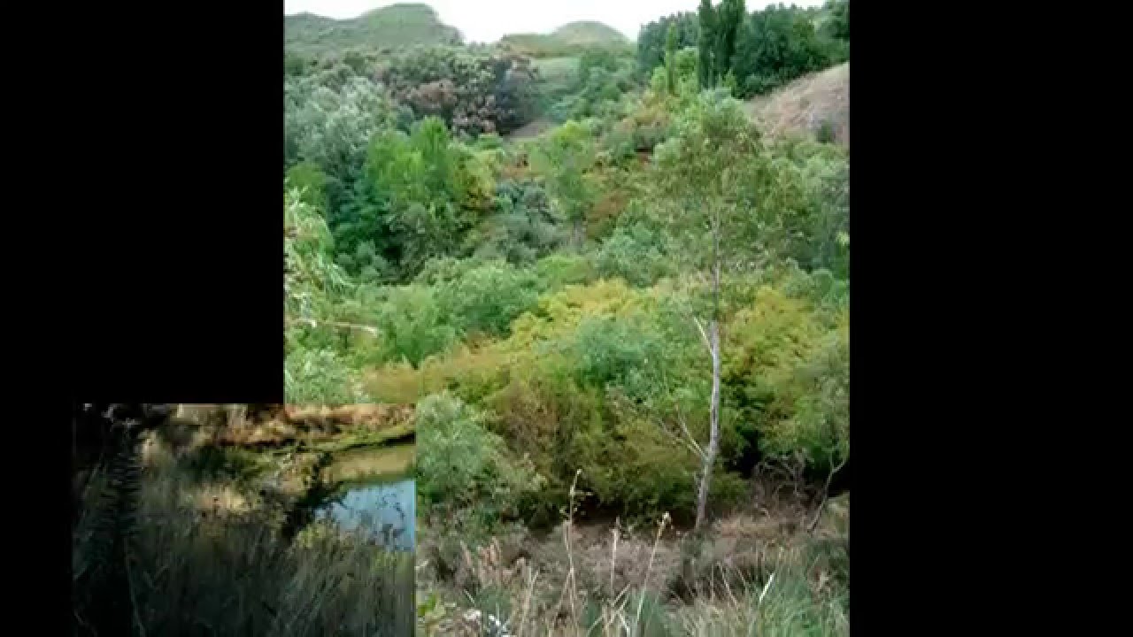 Il Lago di Tarsia