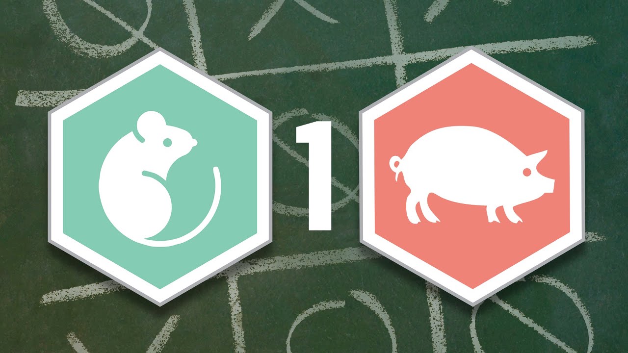 Match 1: 2020 Tic Tac Toe Tournament: Menagerie Madness