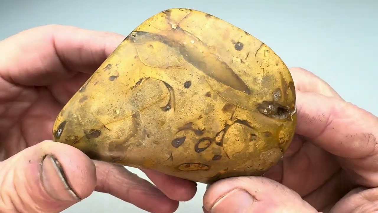 Rock Tumbling Basics - How Well Will it Shine? Fossil Rock
