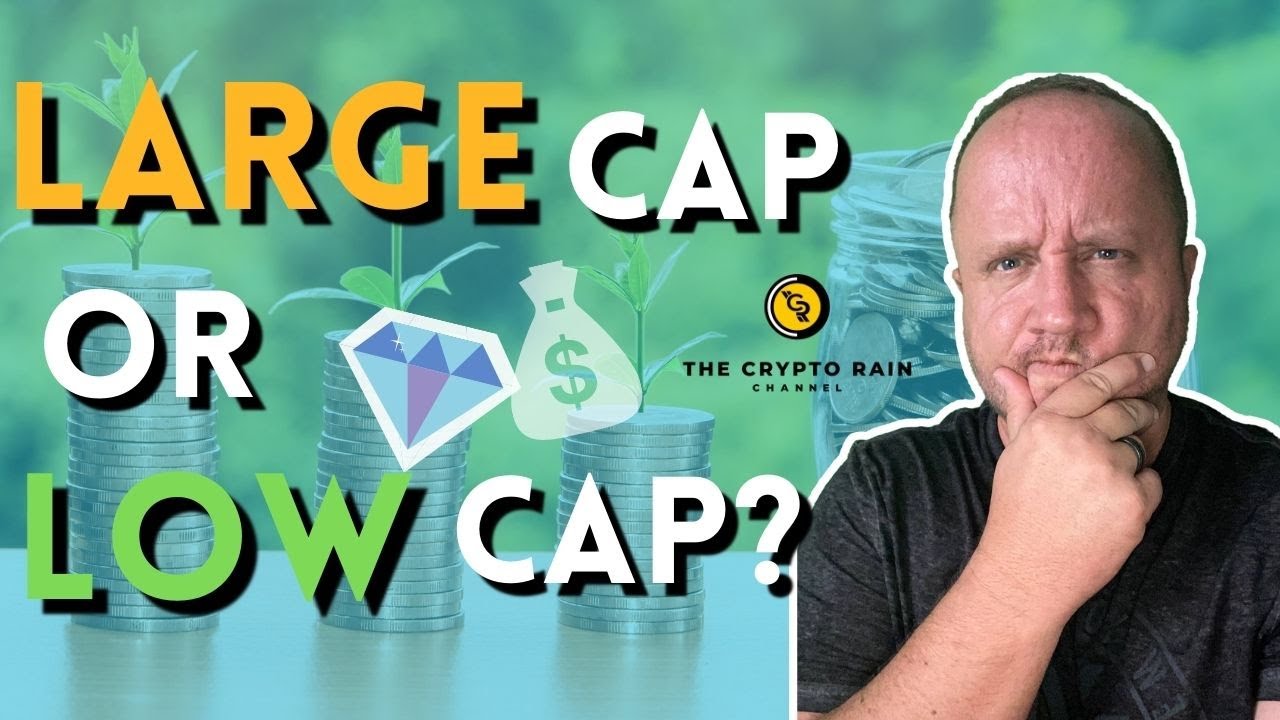Crypto Investing 101: Buy Low Sell High. Large Cap Vs Small Cap coins right now