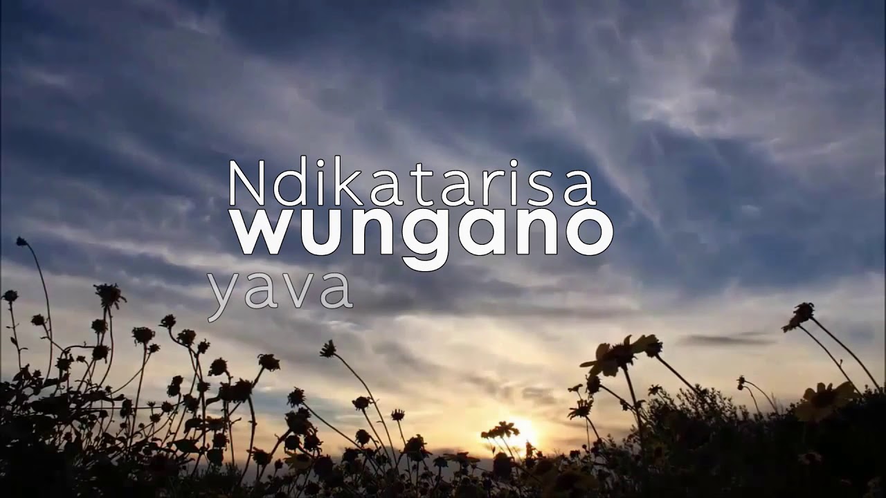 LDC Choir- Ndamuona Mwari (Lyric Video)