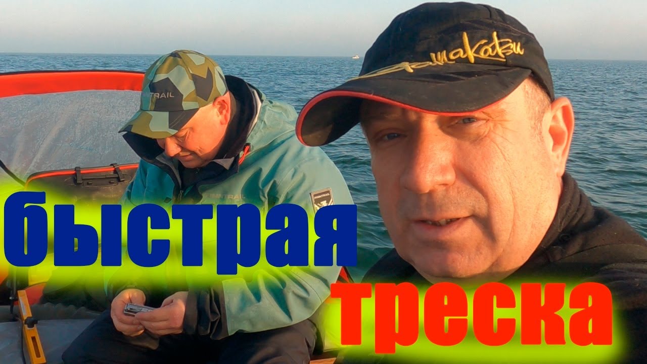 Треска, балтика, рыбалка