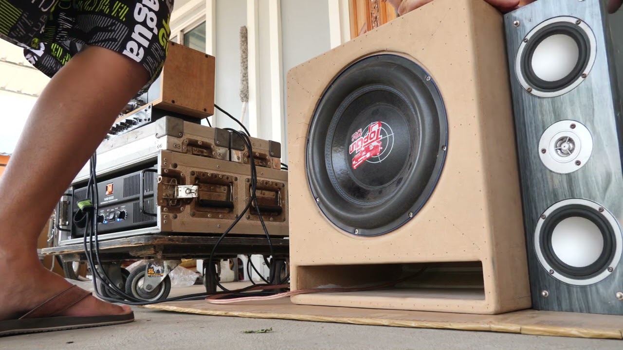 Test speaker subwoofer 12 inch