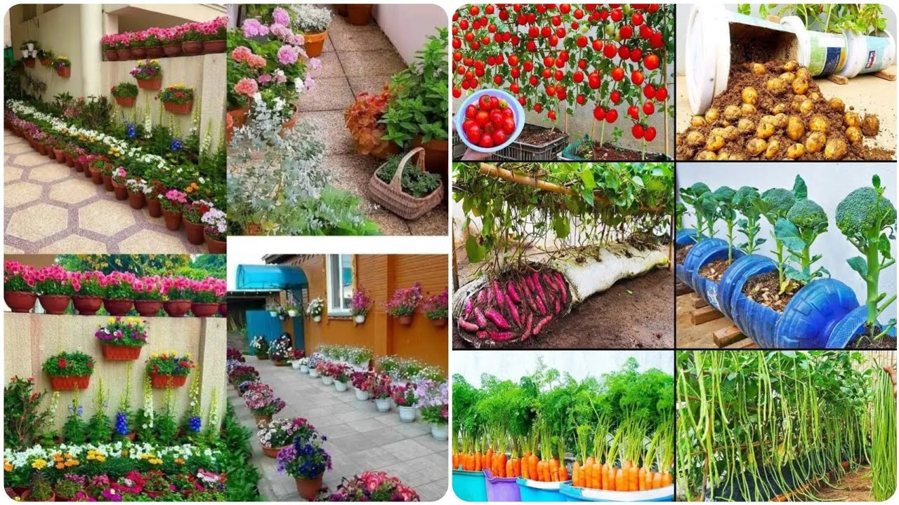 سر نجاح زراعتي المنزلية كورس مجاني في أقل من 14 دقيقه للمبتدئين 🌿🍅